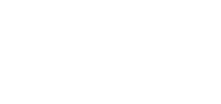 Partner Plus Logga